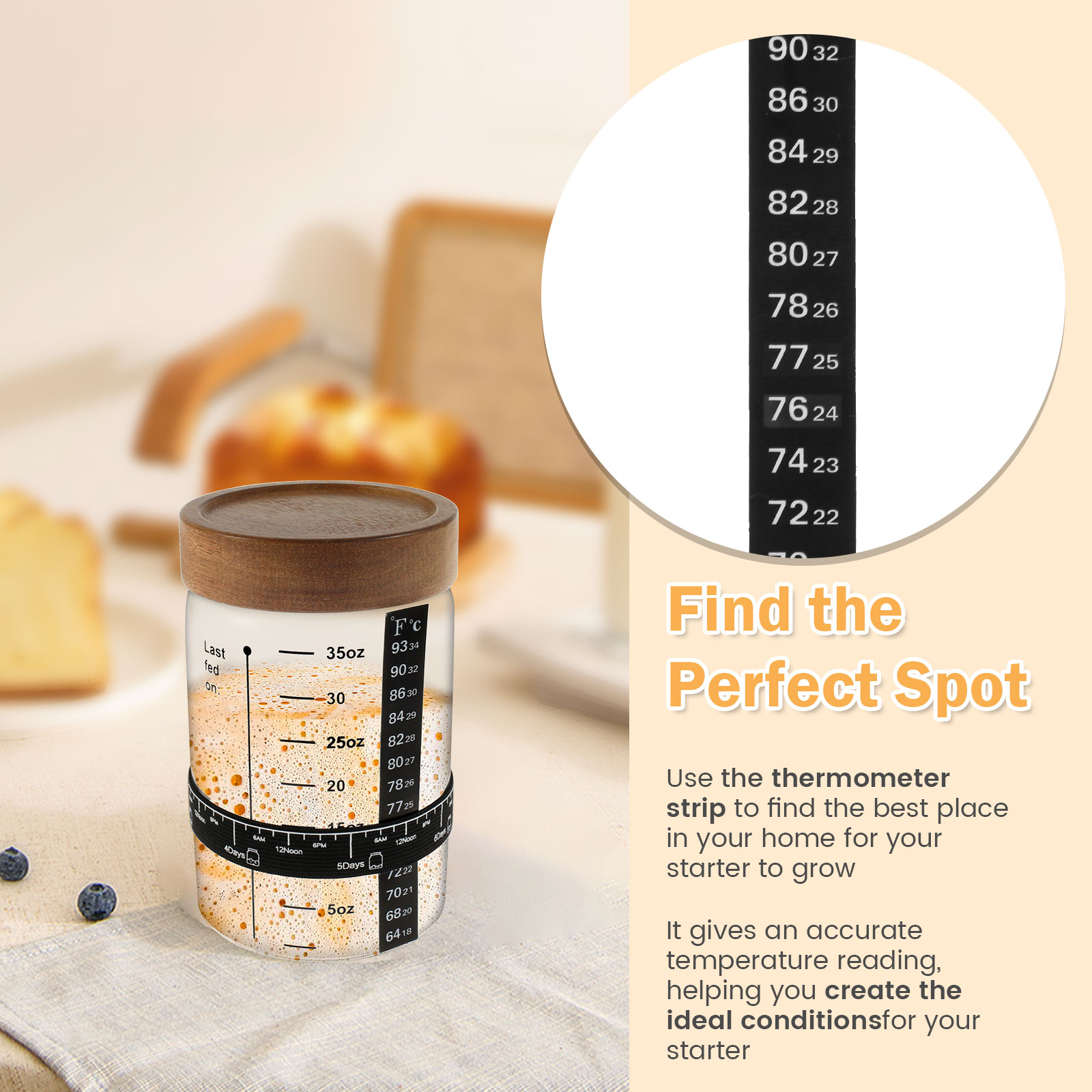 Kit de tarro de inicio de masa - Kitchen Baking Kit reseña y precio